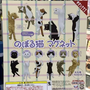 Kitan 爬爬貓 set of 6pcs (31)
