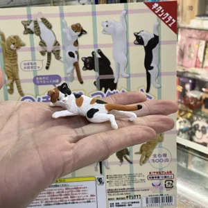 Kitan 爬爬貓 set of 6pcs (31)