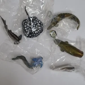 BANDAI 古代魚 02 set of 5 pcs (19)
