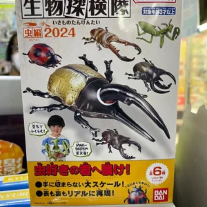 BANDAI 食玩 生物探險隊 ~昆蟲2024~ set of 6 91656