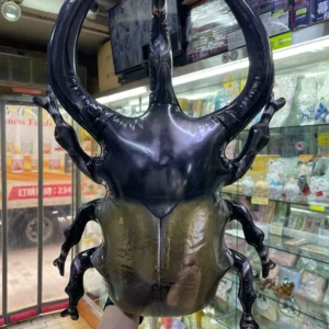 BANDAI 食玩 生物探險隊 ~昆蟲2024~ set of 6 91656