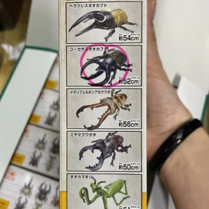 BANDAI 食玩 生物探險隊 ~昆蟲2024~ set of 6 91656