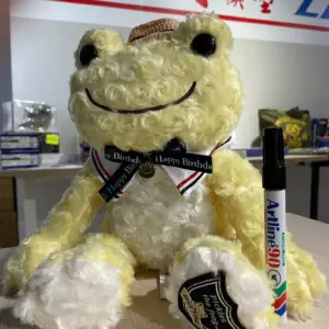 Pickles-the -frog かえるのピクルス 小青蛙 黃色HAPPY BIRTHDAY 大公仔 182555