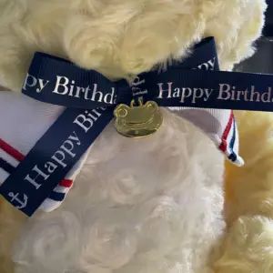 Pickles-the -frog かえるのピクルス 小青蛙 黃色HAPPY BIRTHDAY 大公仔 182555
